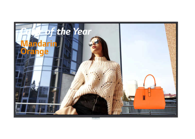 Pantalla Profesional LG 43" 43UH5F (2218)