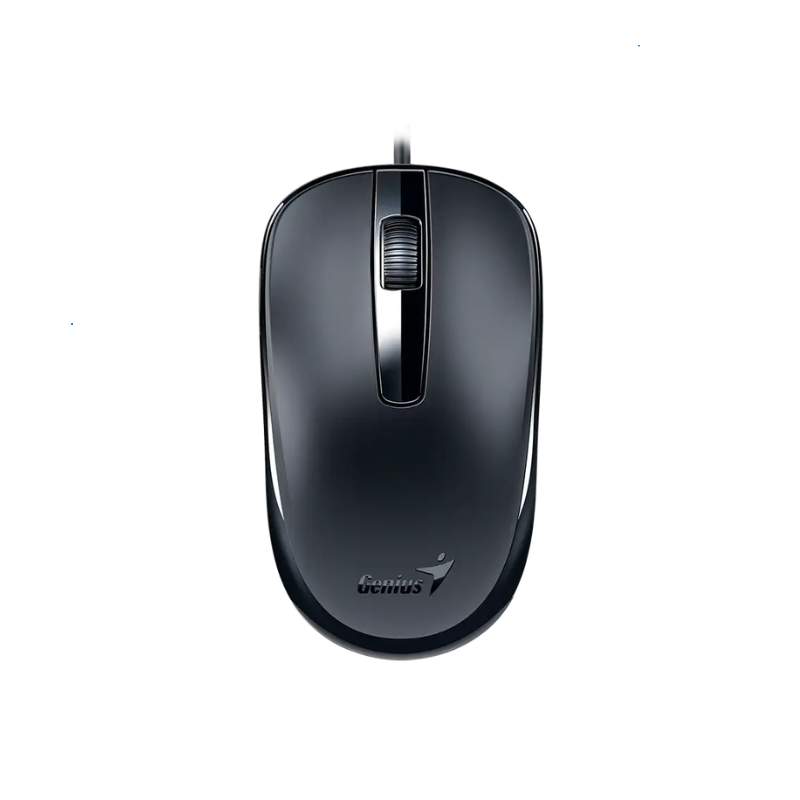 Mouse Genius DX-120,USB-C Black