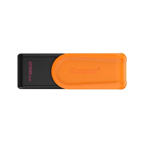 [100184] Pen Drive KINGSTON 256 Gb USB 3.2  DTXS