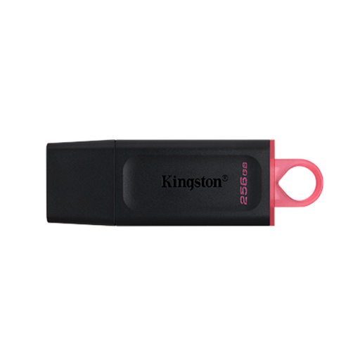 [100145] Pen Drive KINGSTON 256 GB USB 3.2 DTX