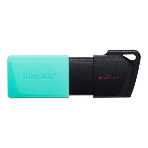 [100147] Pen Drive Kingston 256 GB USB 3.2